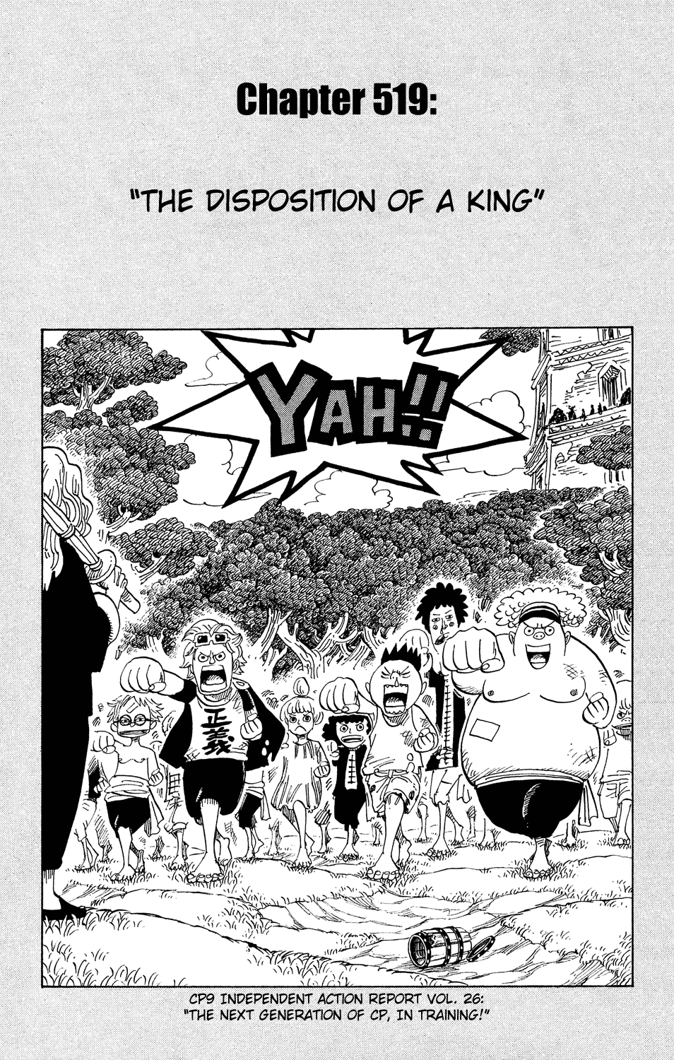 One Piece, Chapter 519 image 01
